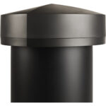 Definitive Technology Dymension LS-100 Passive 10" All-Weather Outdoor Subterranean Subwoofer