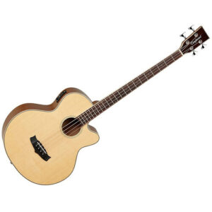 Tanglewood Guitars Winterleaf Acoustic/Electric Bass