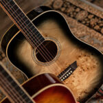 Washburn Deep Forest Burl D Dreadnought Acoustic Guitar